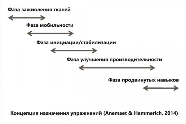 как составить программу реабилитации?