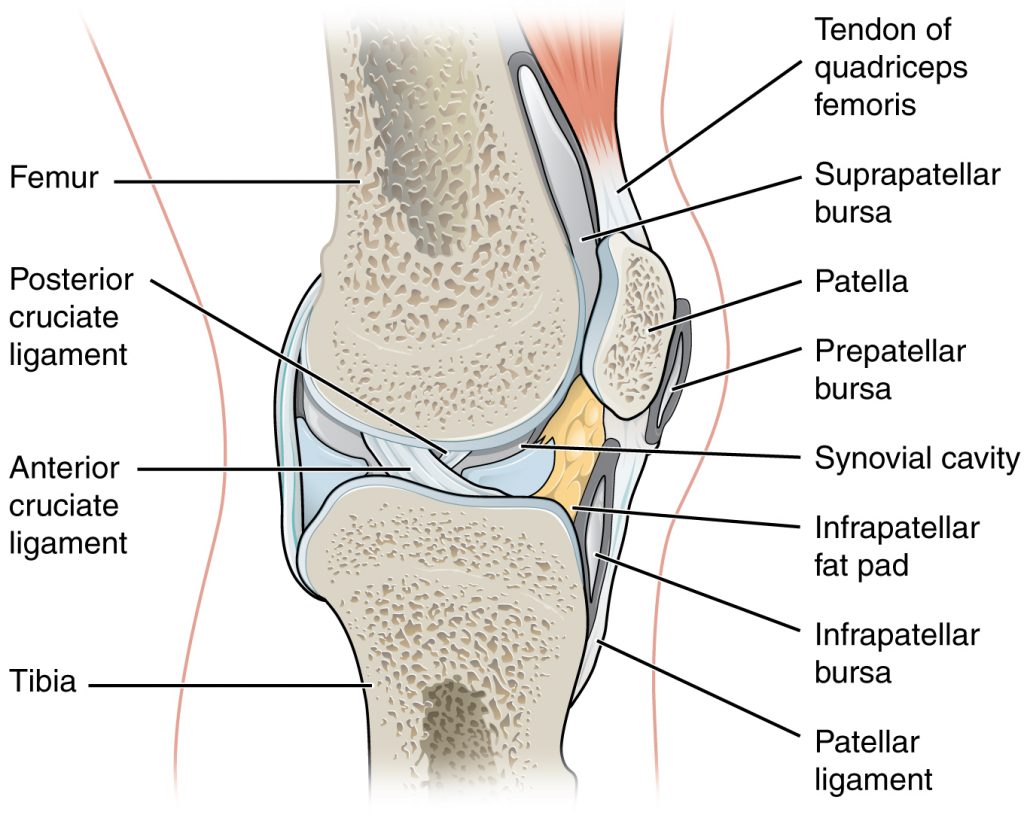 metode liječenja artroze bol u kostima i zglobovima prilikom hodanja