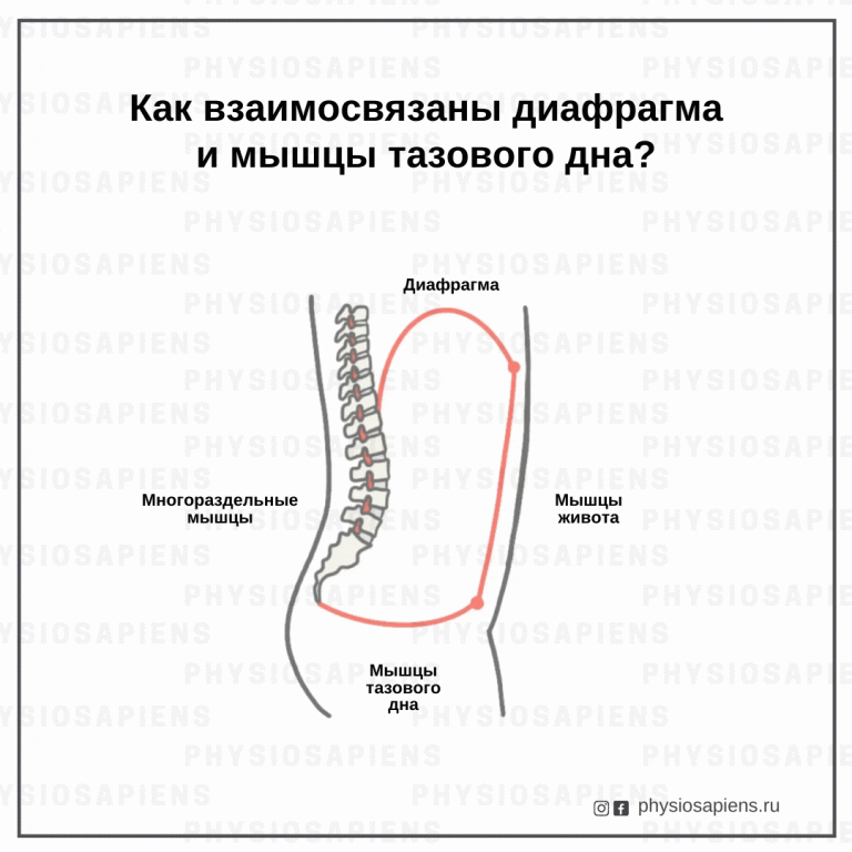 Тазовое дыхание