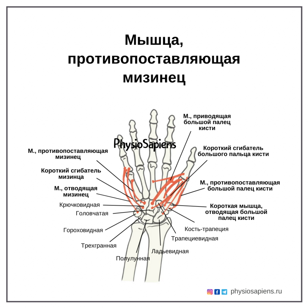 Туннельные синдромы руки