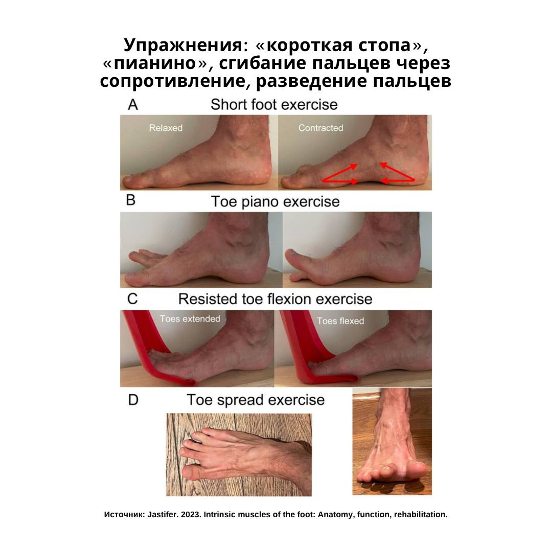 Тренировка внутренних мышц стопы - KinesioPro